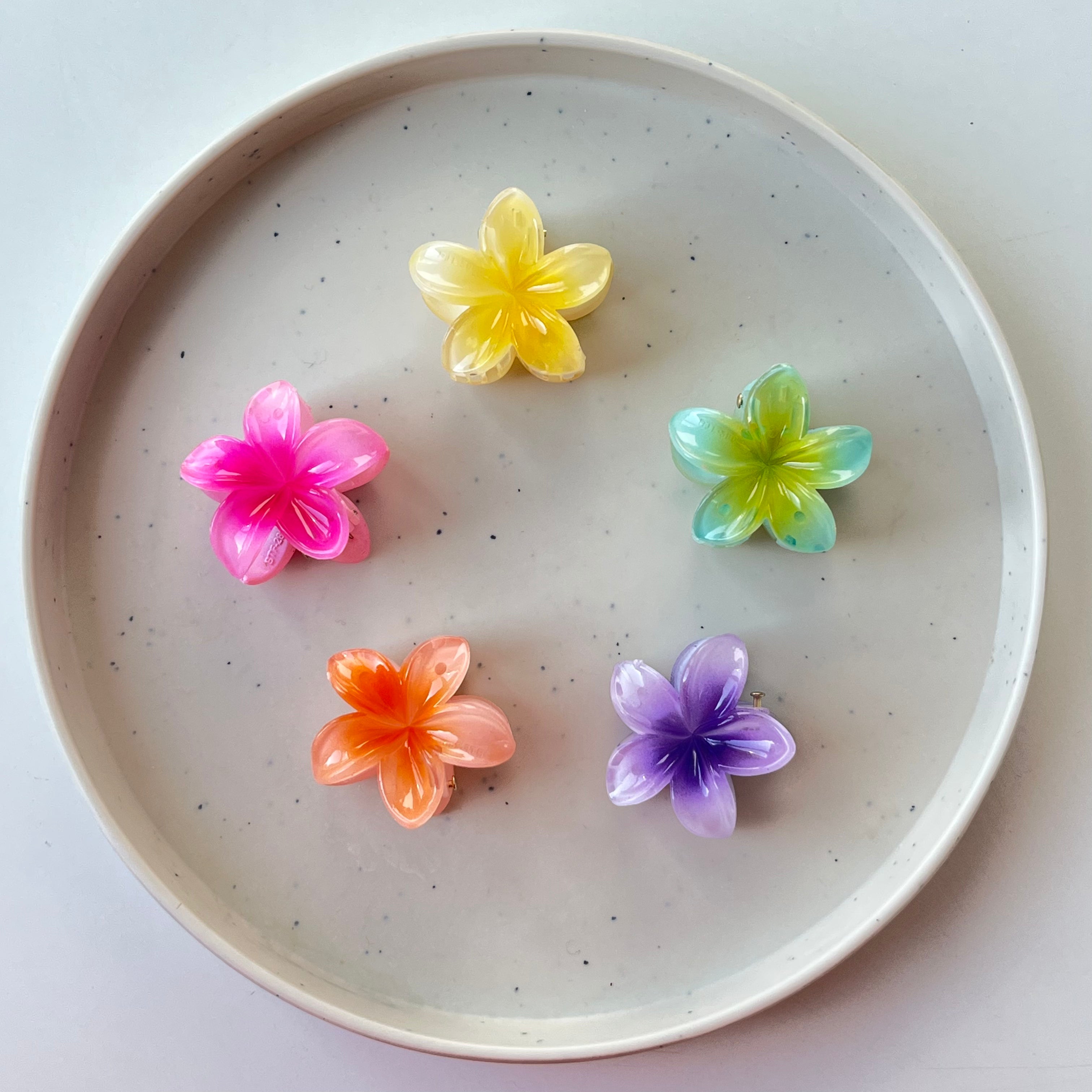 Glossy Bloom – Small Hair Claw (Vault Set of 5)